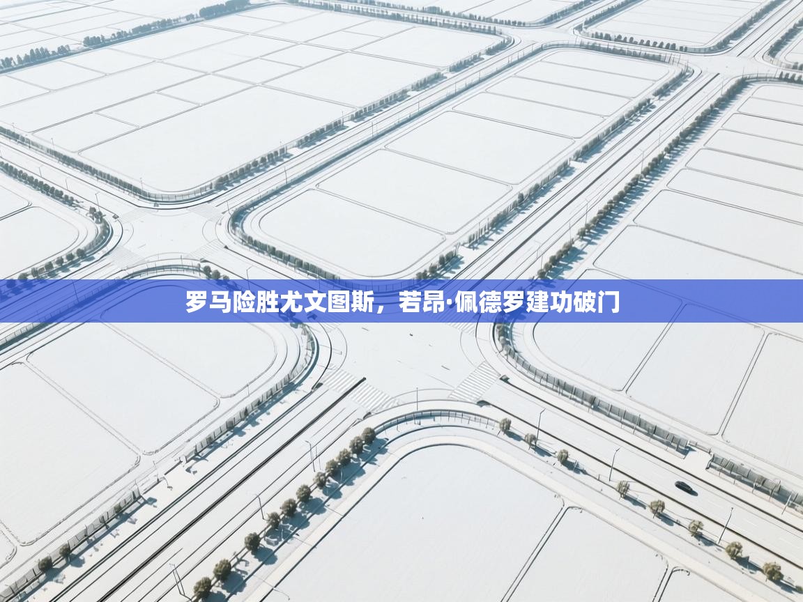 开云体育app官网入口网页版-罗马险胜尤文图斯，若昂·佩德罗建功破门  第4张