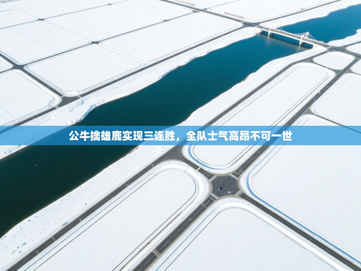 开云体育夜间模式开启-公牛擒雄鹿实现三连胜,全队士气高昂不可一世 第3张