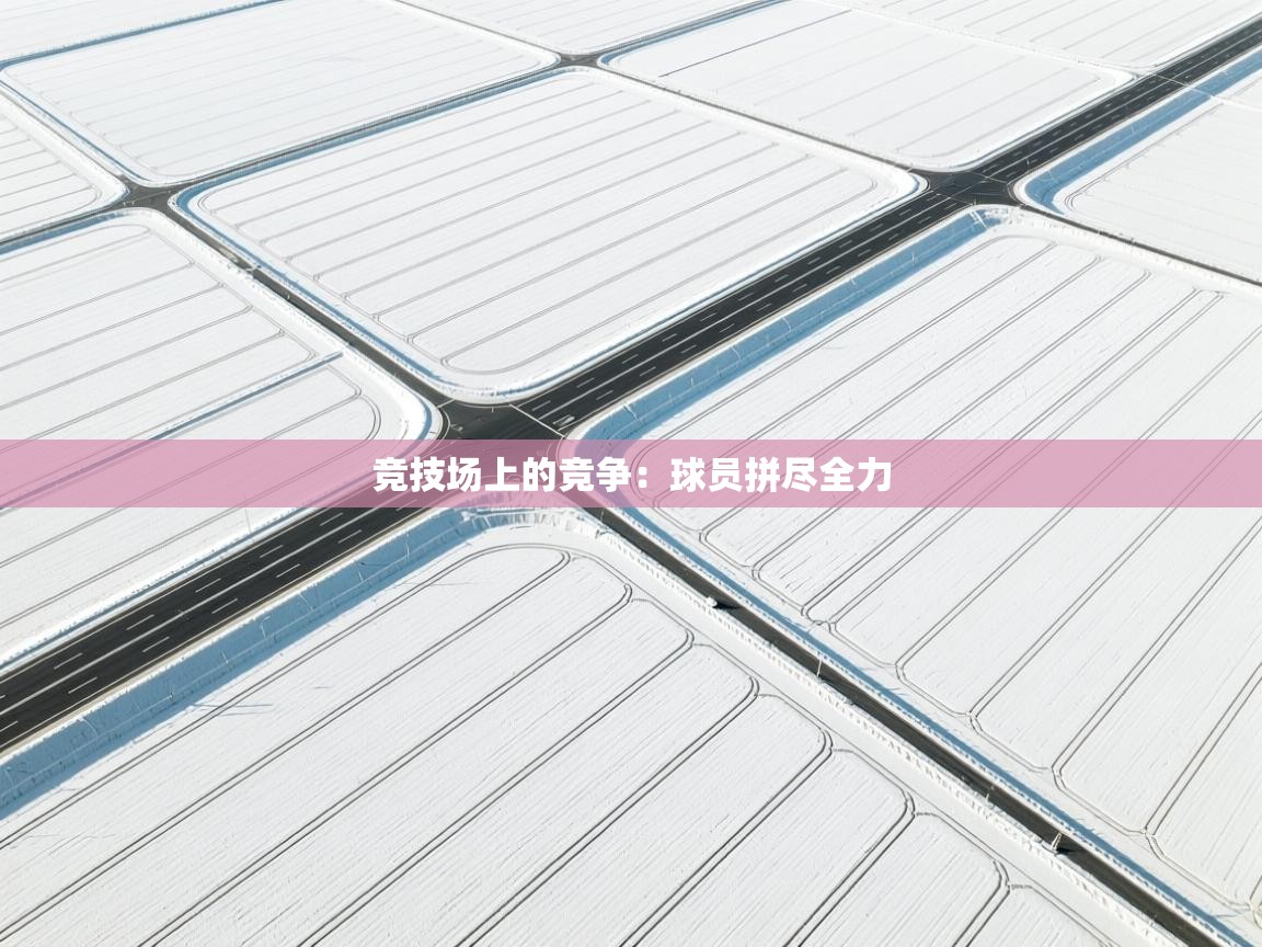 开云体育app下载地址-竞技场上的竞争:球员拼尽全力 第1张