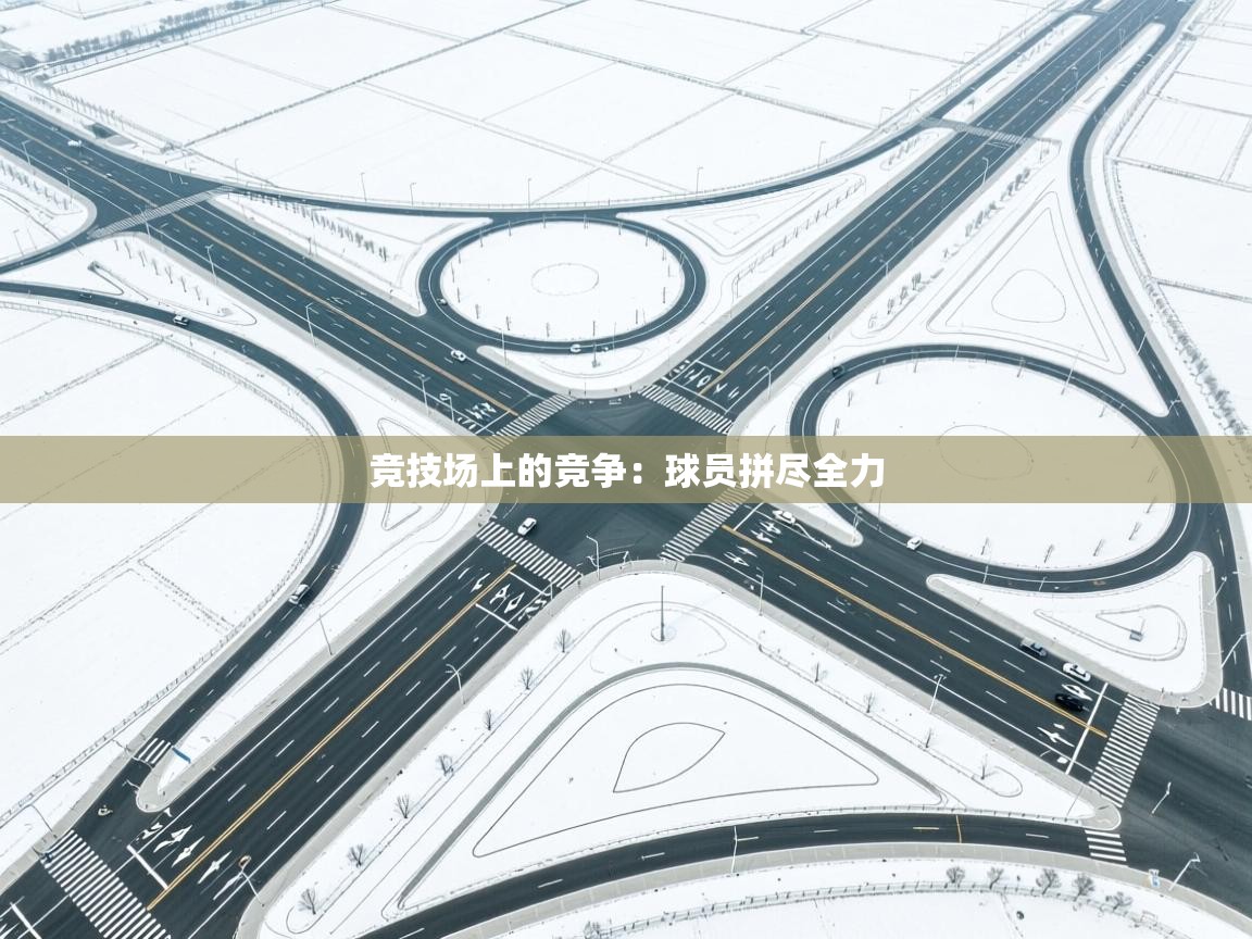 开云体育app下载地址-竞技场上的竞争:球员拼尽全力 第2张