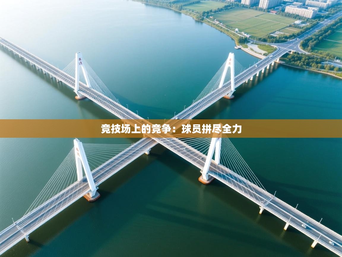 开云体育app下载地址-竞技场上的竞争:球员拼尽全力 第3张