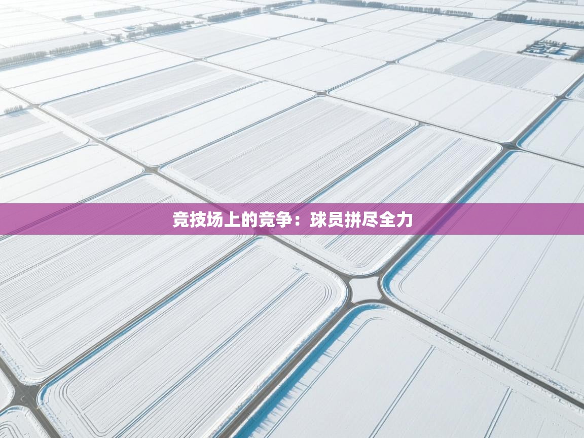 开云体育app下载地址-竞技场上的竞争:球员拼尽全力 第4张